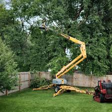 Tree and Shrub Care in Theresa, WI