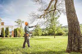 Best Emergency Tree Removal  in Theresa, WI